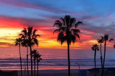 a group of palm trees on a beach with a sunset at Pacific Sunset San Miguel 16 in Oceanside