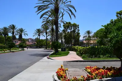 a street with palm trees and flowers in a median at 647 Luxury Inside The Gates LaCosta Resort-Top Floor Steps from Resort 647 in Encinitas