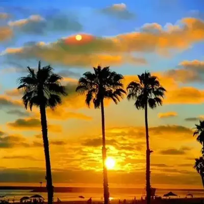209A Beach Living at its Best