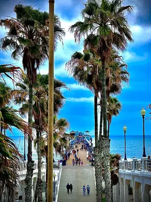 a group of palm trees on a beach with the ocean at 211A Freshly Renovated Steps from the Sand at the Beach Oceanside in Oceanside