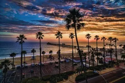 a view of a beach with palm trees and the ocean at NEW - 6br home in Oceanside w Games BBQ Outdoor Seating in Oceanside