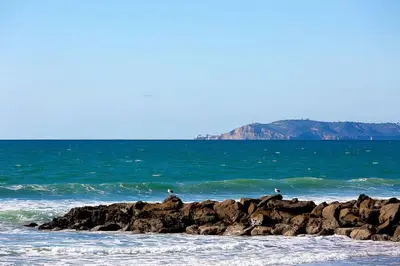 a group of birds sitting on the rocks in the ocean at IB Seaside Paradise w/ Ocean Views! in Imperial Beach