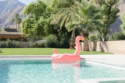 a pink flamingo in the water in a swimming pool at Pool and Mtn View! Designer Borrego Springs Hideaway in Borrego Springs