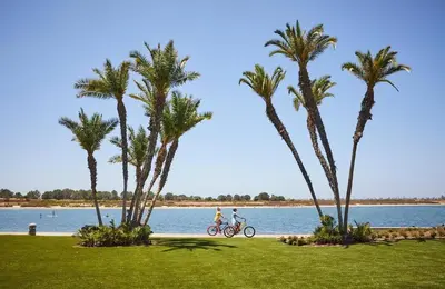 two people riding a bike next to palm trees at Beach-2-Bay 1br - Mission Beach - AC - Shops in San Diego