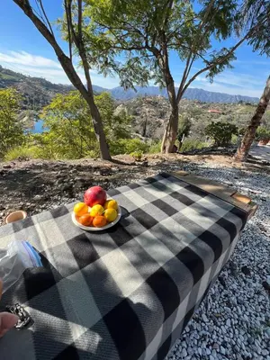 a bowl of fruit sitting on a picnic table at The most breathtaking Lake and Mountain View in Fallbrook