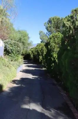 a road with trees on the side of it at Mountain View Studio in Hemet