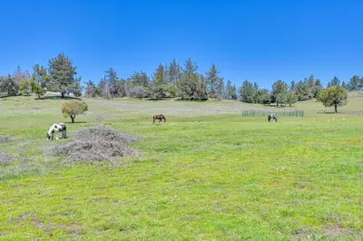 a group of horses grazing in a field at Julian Cottage Stay with Near Wildlife and Wineries in Julian