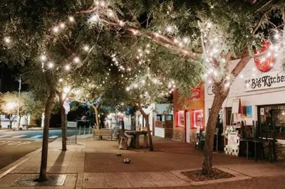 a group of trees with christmas lights on them at South Park - Mountain Views - Central - Tranquil in San Diego