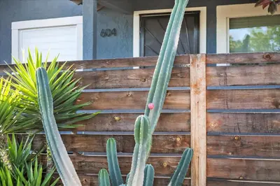 a cactus in front of a wooden fence at NEW Beautiful BOHO Home by Beach, Downtown + Shops in San Diego