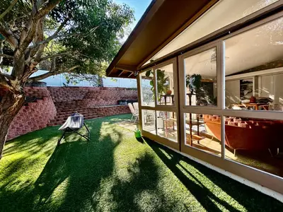 a house with a yard with a tree and a window at NEW Beautiful San Diego Mid-Century Treehouse in Spring Valley