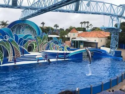 a water park with dolphins in the water at Pacifica Paradise by Cardo - Ocean Views - AC - Kids Playground in San Diego