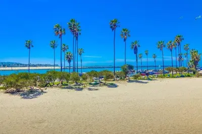 a view of a beach with palm trees and the ocean at Jetty View 2 in San Diego