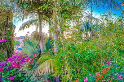 a garden with colorful flowers and palm trees at Local Gem 4 in San Diego
