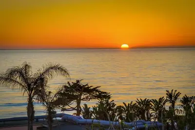 a sunset over the ocean with palm trees on a beach at Ocean Oasis in Encinitas