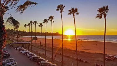 a sunset at the beach with palm trees and cars at The Shores 4 in San Diego