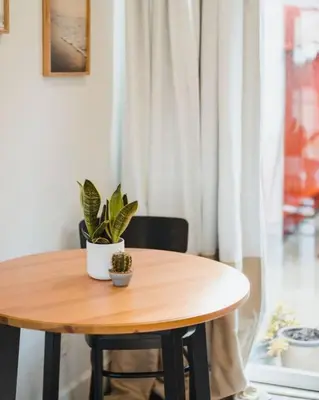 a wooden table with a potted plant on it at Casa Nova - Central San Diego FREE parking in San Diego