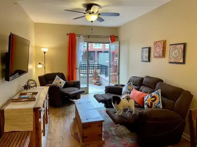 a living room with a cat sitting on a couch at 28 NIGHT MINIMUM in the Gaslamp Quarter by Petco Park, pool, jacuzzi, dogs ok in San Diego