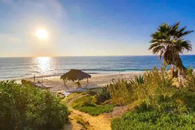 a beach with a palm tree and the ocean at La Jolla Townhouse steps away from Windansea beach in San Diego