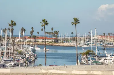 a marina with palm trees and boats in the water at Oceanside Beach Condos in Oceanside