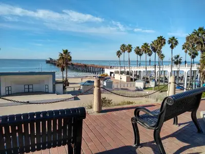 a bench sitting next to a beach with palm trees at Charming 1Bedroom Vacation Condo in Oceanside