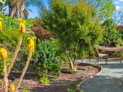 a garden with trees and flowers in a park at Bay Park Garden Paradise - central Location, AC, Washer Dryer & Private yard! in San Diego