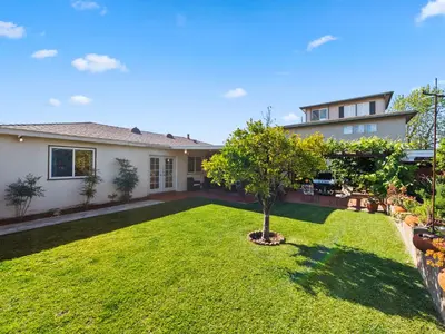 a house with a yard with a tree in it at Bay Park Garden Paradise - central Location, AC, Washer Dryer & Private yard! in San Diego