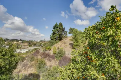 an orange tree on top of a hill at Spacious Home with Yard about 7 Mi to Dtwm San Diego! in San Diego