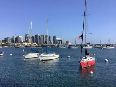 a group of boats in a harbor with a city at 4BR Spectacular Harbor View Modern Home 5min Zoo in San Diego