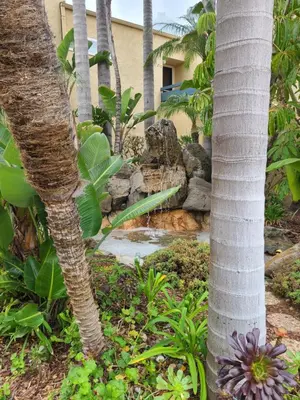 a tropical garden with palm trees and a waterfall at Amazing Location - Large and Luxurious 1 Bedroom Beach Condo By Beaches and Attractions in Solana Beach