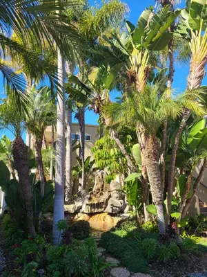 a group of palm trees in front of a building at Amazing Location - Large and Luxurious 1 Bedroom Beach Condo By Beaches and Attractions in Solana Beach