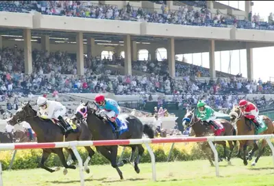 a group of horses racing in a horse race at Amazing Location - Large and Luxurious 1 Bedroom Beach Condo By Beaches and Attractions in Solana Beach