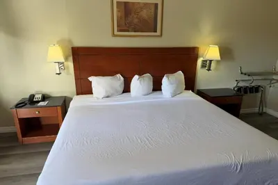 a bedroom with a large white bed with two night stands at Travelodge by Wyndham Hemet CA in Hemet