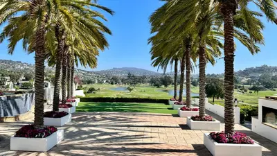 a row of palm trees on a golf course at La Costa Escape - Pool, BBQ, Gated Parking in Encinitas