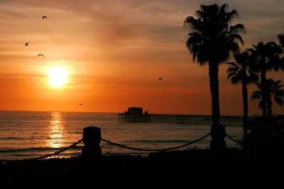 a sunset on the beach with a palm tree at Aquamarine Villas in Oceanside