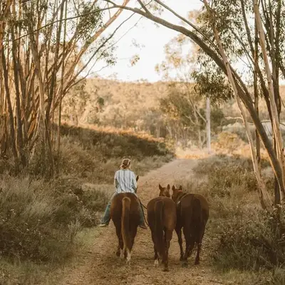 San Diego Trail Guest Ranch