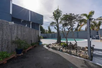 a swimming pool with a tree and rocks next to a building at * - The Leucadia Beach Grotto - * An Encinitas Gem in Encinitas