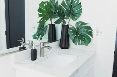 a bathroom sink with two plants in a mirror at Casa de Vaqueros! Family&Pet Friendly! 3mi to the Beach! in San Juan Capistrano