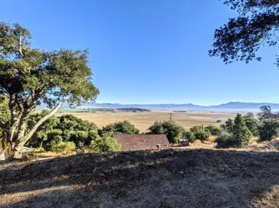 a house in the middle of a field with a tree at #7 Josie's Mountain Top Hideout-Cabin in the Woods in Santa Ysabel