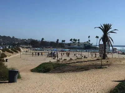 a sandy beach with a palm tree and the ocean at Geometric Loft: renovated, hip, pets, pool/spa in Solana Beach