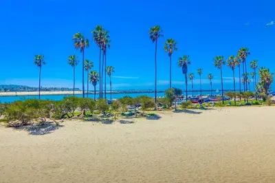 a view of a beach with palm trees and the ocean at Jetty View 1 in San Diego