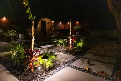 a garden with plants and lights at night at Private House 3 min to beach large backyard Spa Sauna BBQ ! in San Juan Capistrano