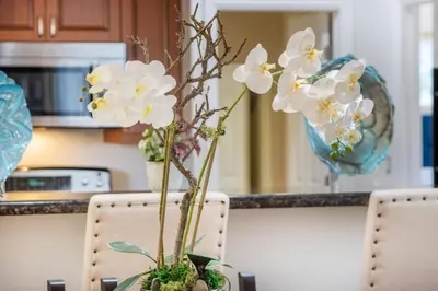 a vase of white flowers sitting on a table at Stunning huge one level 1350 ft. cottage in Mission Viejo