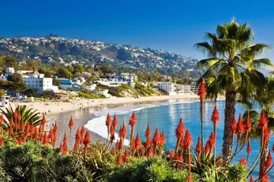 a view of a beach with a palm tree and a beach at UNEQUALLED LUXURY VILLA BEACH 7000ft 180 VIEW in Laguna Beach