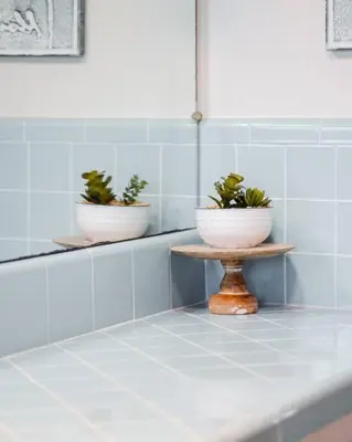 two potted plants sitting on shelves in a bathroom at Casa Flora -2BR- FREE Parking in Little Italy! in San Diego