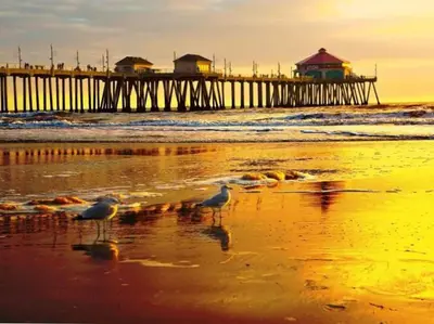 two birds standing on the beach near a pier at King Size, Patio, Xbox, Great Park in Irvine