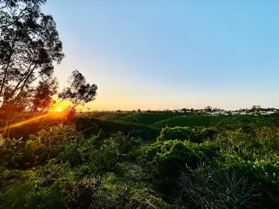 a sunset in a field with a tree and grass at Canyon Breeze - Private Home with Hot Tub & Views in San Diego