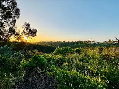 a field of grass with the sunset in the background at Canyon Breeze - Private Home with Hot Tub & Views in San Diego
