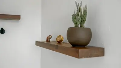 a potted plant sitting on a wooden shelf on a wall at Chic Kensington Home - Hot Tub & Canyon Views in San Diego