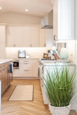a kitchen with white cabinets and a potted plant at Enchanting Encinitas Oceanview Casita in Encinitas