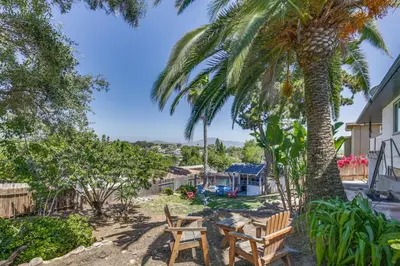 a palm tree and two wooden chairs in a yard at San Diego Apartment with Patio - Near Balboa Park! in San Diego